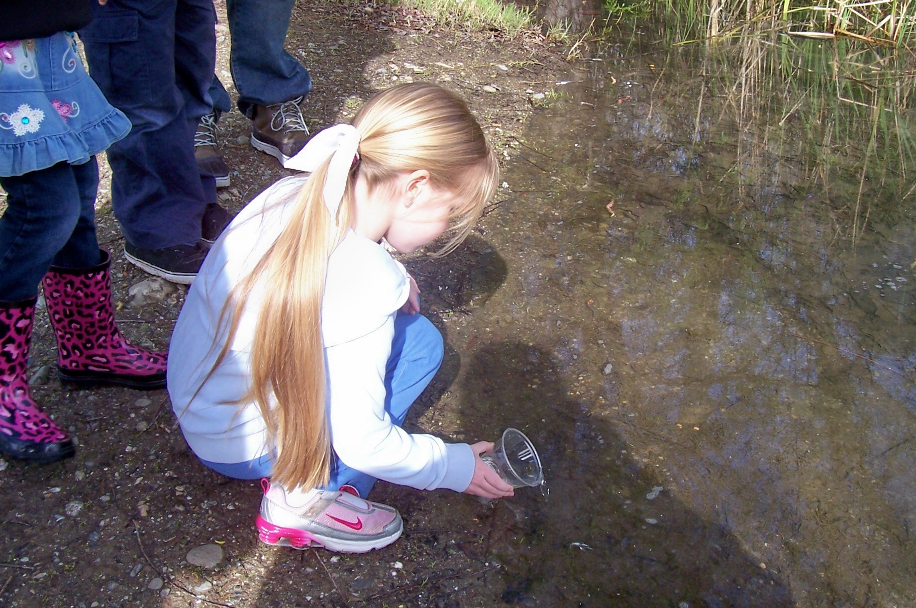 Trout in the Classroom Program Alameda Creek Alliance — Bringing